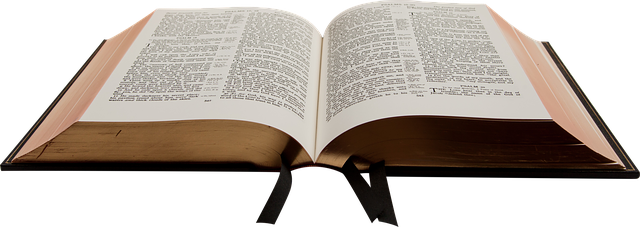 la Biblia ​forma parte de los libros canónicos