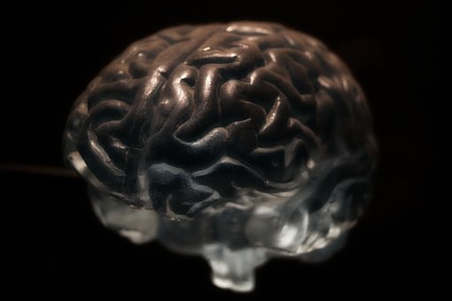 la pituitaria, una glándula compleja del cerebro
