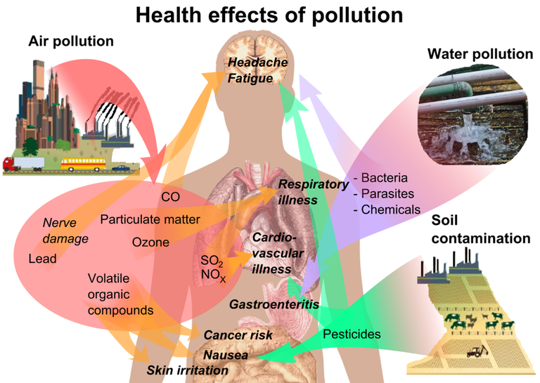 efectos de la polución atmosférica en el organismo
