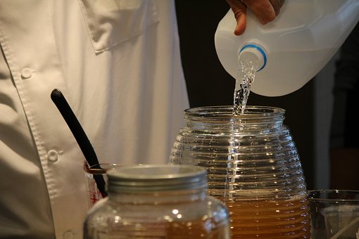 la kombucha es una bebida echa de hongos y bacterias Scoby